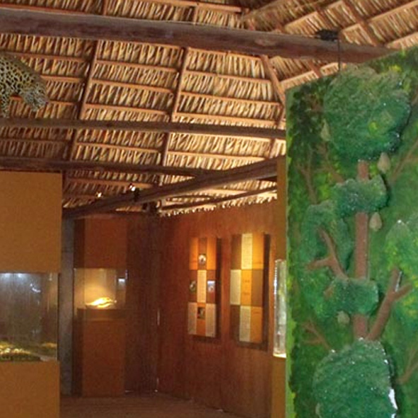 Eco Hostal Costa Verde